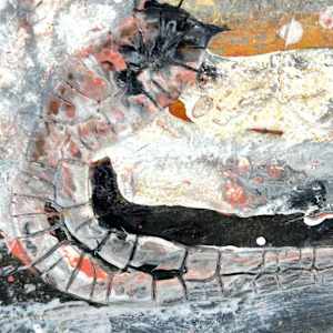 Autumn Horizon by Shirley Williams 
