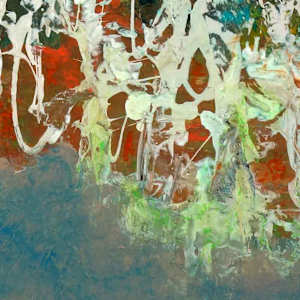 Summer  Field by Shirley Williams 