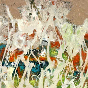 Summer  Field by Shirley Williams 