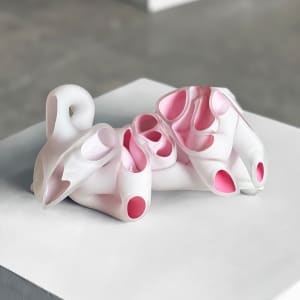 Imaginary Anatomy #1 by Kim Harty 