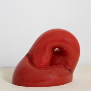 Ham Bone by Kim Harty 