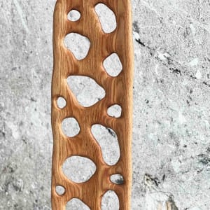 Wormhole Dining Chair by Forrest Hudes 