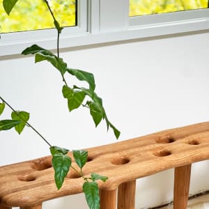 Wormhole Bench by Forrest Hudes 