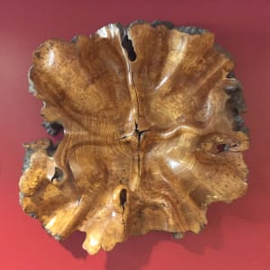 Wall Relief by Ben Rowley