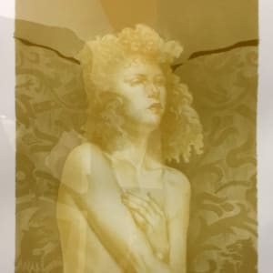 Brocade #7; 7/25 by Martha Erlebacher