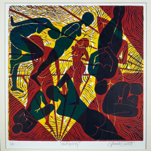 Multiplicity by Amanda R. Schmitt