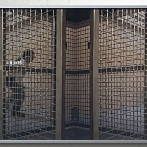Cage by ChunLok Mah
