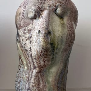Silent Witness by Mary Bowron