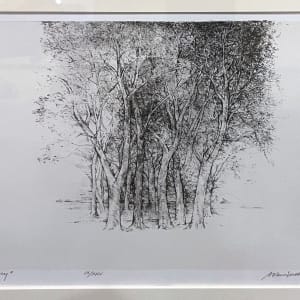 Sanctuary by Adrian Van Suchtelen