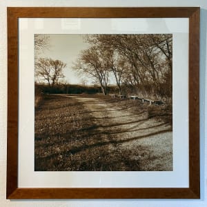 Outdoor Classroom in the Ceresco Prairie by Lee Allis Shippey