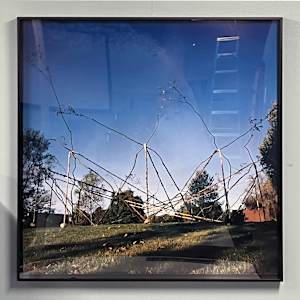 Prairie Spider Web by Roy Staab