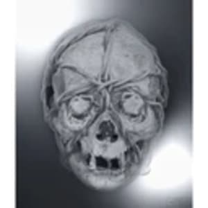 Untitled by Craig McDean