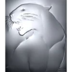 Untitled by Solve Sundsbo