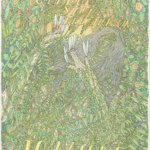 Change Your Relationship To Nature by Becky Stark, Peter Glantz, Kevin Hooyman