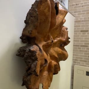 Wall Relief by Ben Rowley 