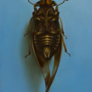 Untitled (Cicada on Blue) by Zane York