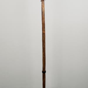 Senufo Staff for Champion Cultivator by Senufo culture 