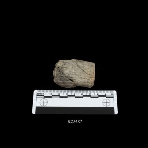 Cuneiform tablet 
