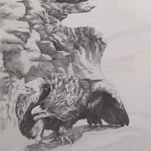 Eagle Beak by Ellen Lanyon