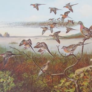 Distant Thunder - Passenger Pigeons by Owen J. Gromme 