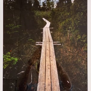Wooden path leading into Ridges Sanctuary. Ridges Road - Rustic Road 39, Door County, Wisconsin by Bob Rashid