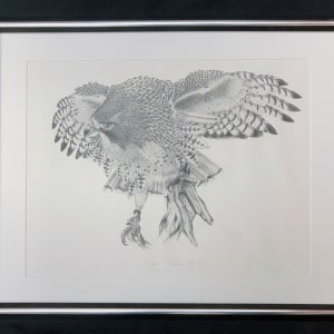 Falcon by Dan DeKock