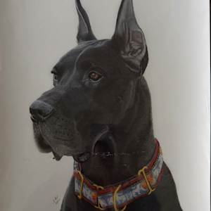 Bronze GrandChampion- Jester by Creations Fine Art by Irena, Image 19.