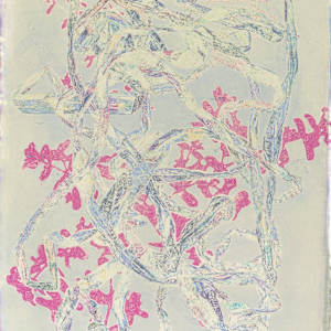 Plants v Plastic by Kathy Cornwell