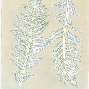 Playing Footsie by Kathy Cornwell