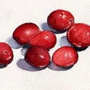 "Cranberries" by Elizabeth Stathis 