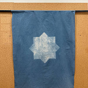 2. The Shining Star by Fatema Abizar