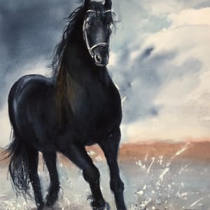 Black Beauty by Khadija Karachiwala