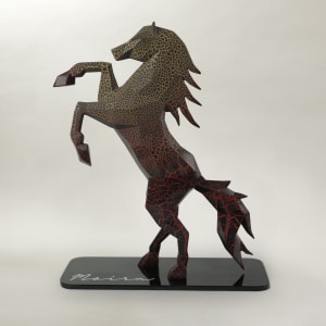 Unstoppable Spirit by Mohsin Hajoori 