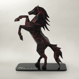 Majestic Stallion by Mohsin Hajoori 