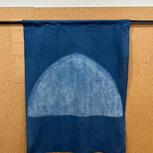 5. The Niche by Fatema Abizar