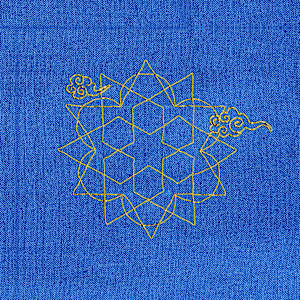 Rise V by Umme Hani Hussain 