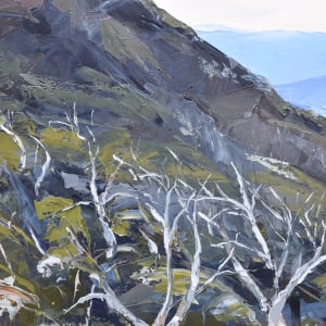 Bluff by Wendy Jagger  Image: Bluff detail