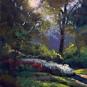 MORNING REVERIE by Laura Pollak