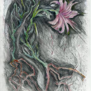 Winter Meadow.04 by Mary Welch Higgins