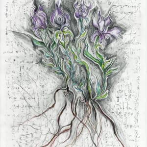 Winter Meadow.05 by Mary Welch Higgins
