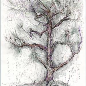 Seoul in Winter.Tree.05 by Mary Welch Higgins