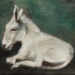 Sleepy Donkey by Meinke Flesseman