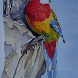 2002 Rosella by jeanps