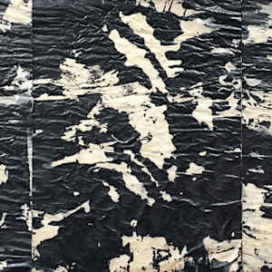 3 Ink on Vellum by Richard Morrison