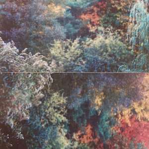 Fall Landscape Diptych - Small by Richard Morrison