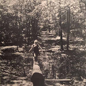 Crossing a River Bed on a Log by Richard Morrison by Richard Morrison