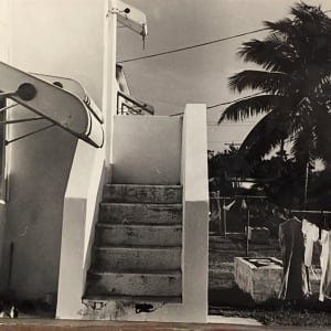 Backyard in Mexico/Florida by Richard Morrison by Richard Morrison