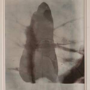 Bleach Landscape by Richard Morrison