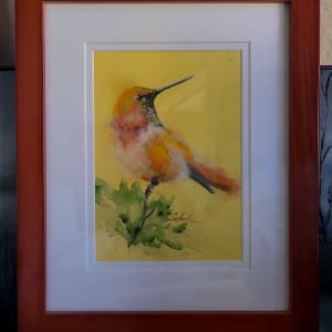 Rufous Hummingbird by Sandra Schultz