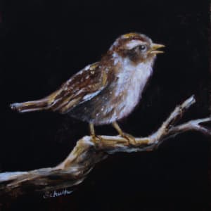Song of Sparrow by Sandra Schultz